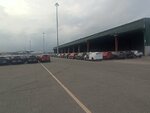 IMG_20221031_160726.jpg
